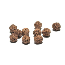 Rudraksha prírodný korálik 7 mm, 10 kusov