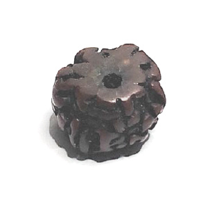 Rudrakša, starý tibetský olejový korálik, ručne leštený - Nepál 15-17 mm Rudrakša, starý tibetský olejový korálik, ručne leštený - Nepál 15-17 mm