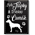 Nekupto Pets magnet Doga 66 x 90 x 2 mm