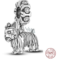 Charm Striebro 925 Pes - Jorkšírsky teriér - Yorkie, prívesok na náramok zviera