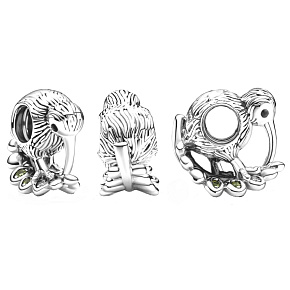 Prívesok Striebro 925 Kiwi a paprade, symbol Nového Zélandu, korálik na cestovnom náramku