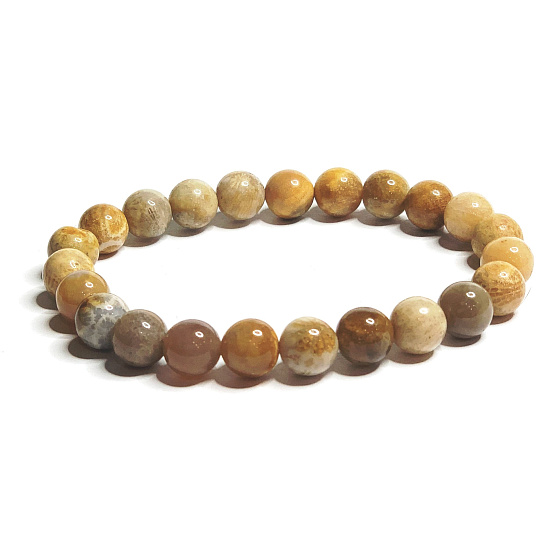 Koralová fosília Chryzantéma náramok elastický prírodný kameň, gulička 8 mm / 16 - 17 cm