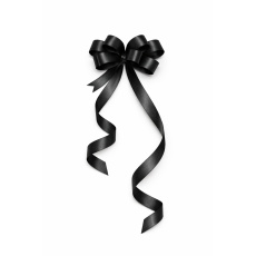 Kokarda – stahovací ozdobná stuha tmavě šedá | 25 cm × 1,5 cm Kokarda – stahovací ozdobná stuha tmavě šedá | 25 cm × 1,5 cm