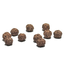 Rudraksha prírodný korálik 9 mm, 10 kusov