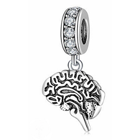 Strieborný prívesok 925 Anatomická biológia - Mozog, prívesok na náramok, symbol