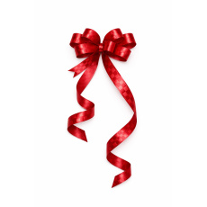 Kokarda – stahovací ozdobná stuha červená s kostkovaným vzorem | 50 cm Kokarda – stahovací ozdobná stuha červená s kostkovaným vzorem | 50 cm